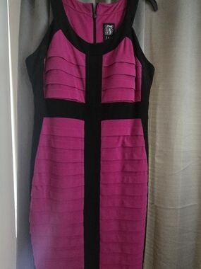 Fuchsia and Black Sheath Dress